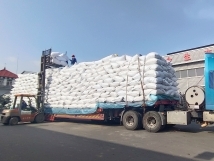 把握機(jī)遇、鉚足干勁、承勢(shì)而上