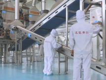 2025年的第一個(gè)月，承德亞歐果仁有限公司在山杏產(chǎn)業(yè)的道路上持續(xù)奮進(jìn)，展現(xiàn)出蓬勃的發(fā)展活力。